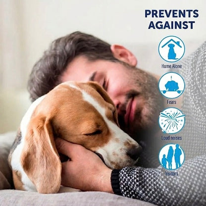 Calming Plug-In Diffuser