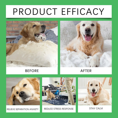 Calming Plug-In Diffuser