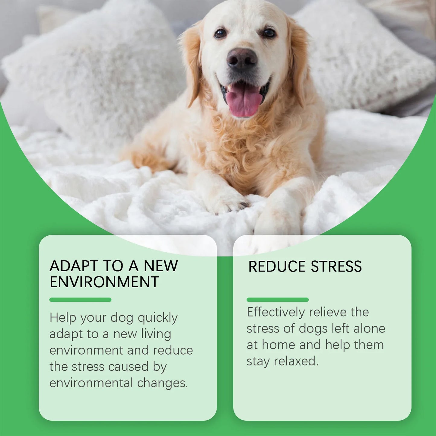 Calming Plug-In Diffuser