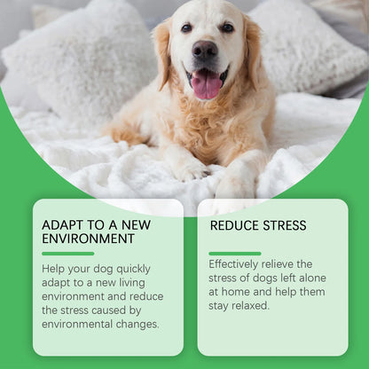 Calming Plug-In Diffuser